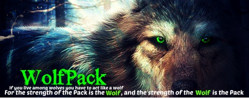 5cec02f8-1f07-026f-1034523.png